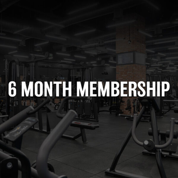 6 MONTHS